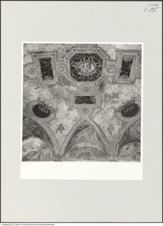 Vorderseite von bh564118_recto