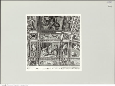 Vorderseite von bh564236_recto