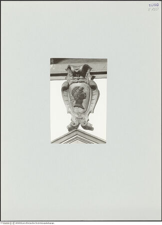 Vorderseite von bh564369_recto