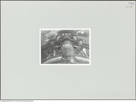 Vorderseite von bh564374_recto