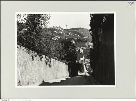 Vorderseite von bh564398_recto