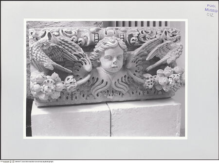 Vorderseite von bh564577_recto