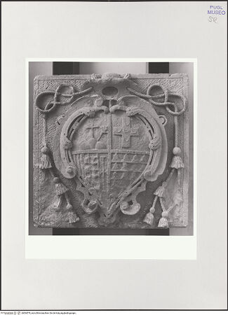 Vorderseite von bh564578_recto