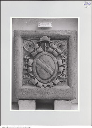 Vorderseite von bh564579_recto