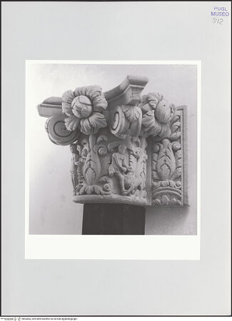 Vorderseite von bh564583_recto