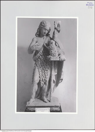 Vorderseite von bh564590_recto