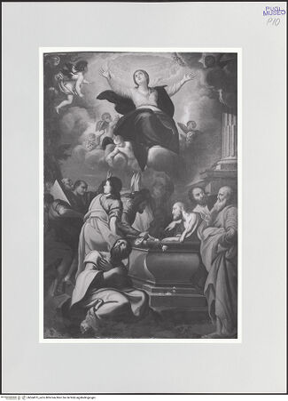 Vorderseite von bh564615_recto