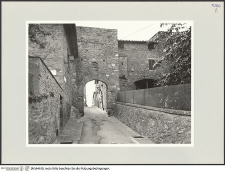 Vorderseite von bh564630_recto