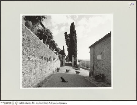 Vorderseite von bh564664_recto