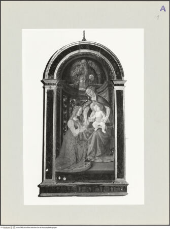 Vorderseite von bh564785_recto