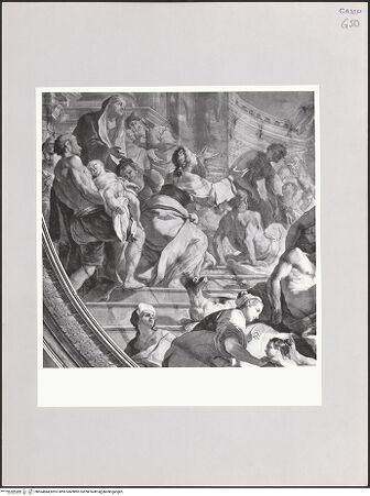 Vorderseite von Sigismondi, Roberto [http://creativecommons.org/licenses/by-nc-sa/4.0/] Apotheose des heiligen Franz von Paula - Detail, bh564844_recto. Foto: Sigismondi, Roberto.