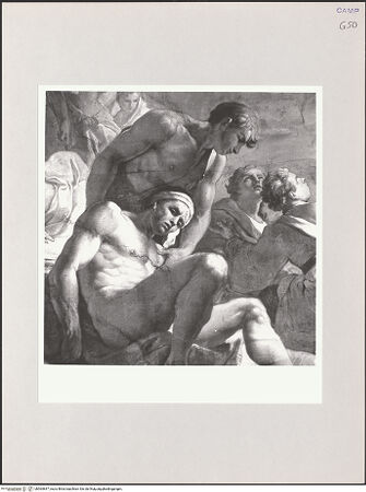 Vorderseite von Sigismondi, Roberto [http://creativecommons.org/licenses/by-nc-sa/4.0/] Apotheose des heiligen Franz von Paula - Detail, bh564847_recto. Foto: Sigismondi, Roberto.