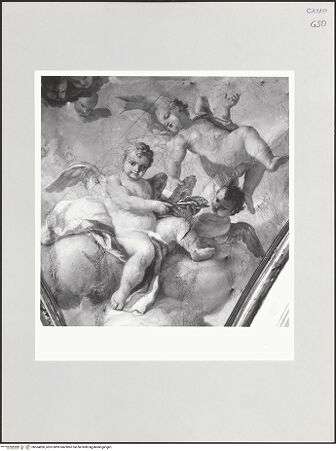 Vorderseite von Sigismondi, Roberto [http://creativecommons.org/licenses/by-nc-sa/4.0/] Apotheose des heiligen Franz von Paula - Detail, Zwickel: Engel, bh564850_recto. Foto: Sigismondi, Roberto.