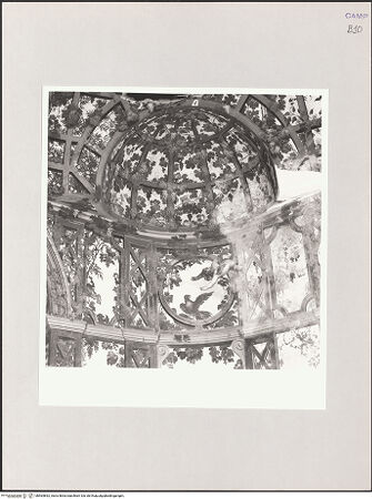Vorderseite von Sigismondi, Roberto [http://creativecommons.org/licenses/by-nc-sa/4.0/] Wand- und Deckendekoration mit Pergola, Landschaften und Figuren - Detail, Pergola, bh564892_recto. Foto: Sigismondi, Roberto.