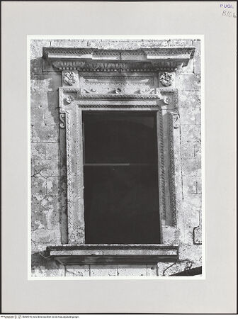 Vorderseite von bh564919_recto