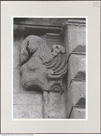 Vorderseite von bh564925_recto