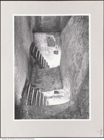 Vorderseite von bh564939_recto