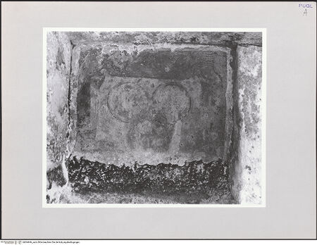 Vorderseite von bh564946_recto