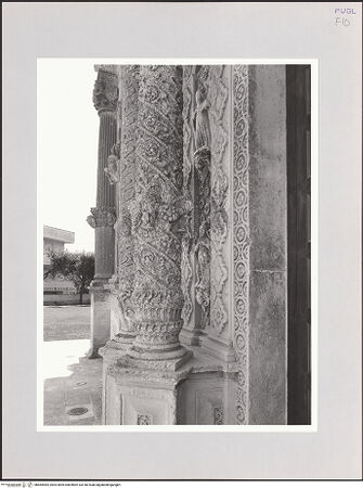 Vorderseite von bh564984_recto