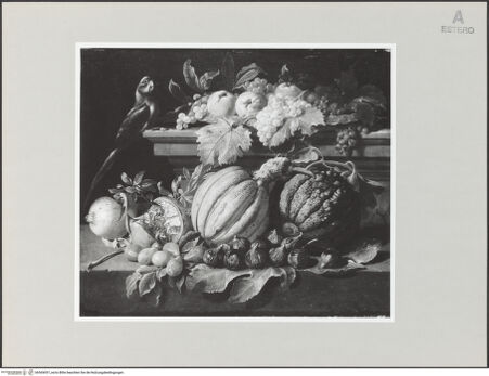 Vorderseite von bh565057_recto