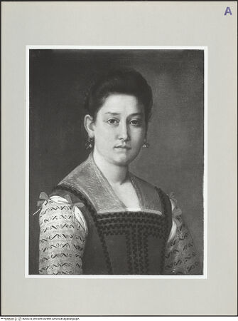 Vorderseite von bh565074_recto