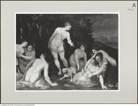 Vorderseite von bh565075_recto