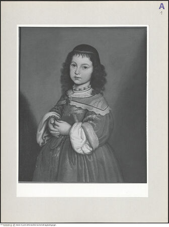 Vorderseite von bh565176_recto