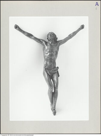 Vorderseite von bh565182_recto