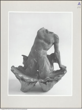 Vorderseite von bh565194_recto