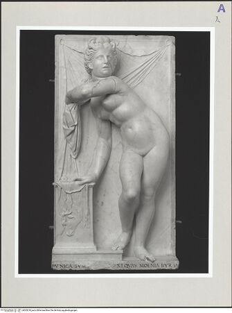 Vorderseite von bh565218_recto