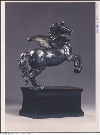 Vorderseite von bh565260_recto