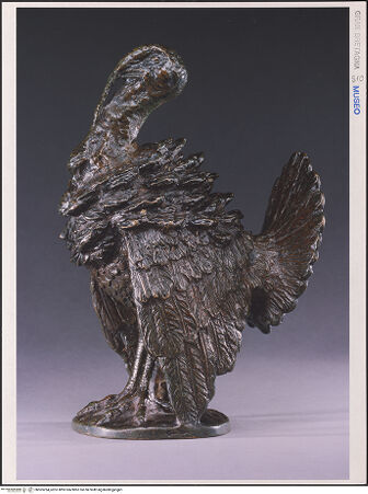 Vorderseite von bh565264_recto