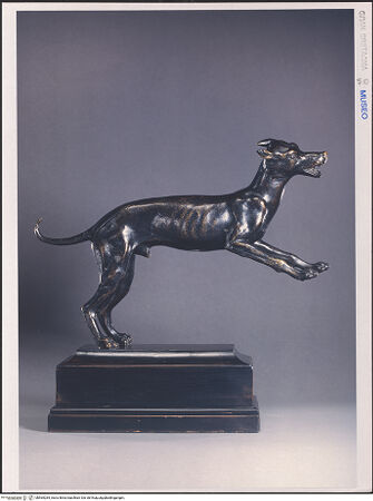 Vorderseite von bh565265_recto