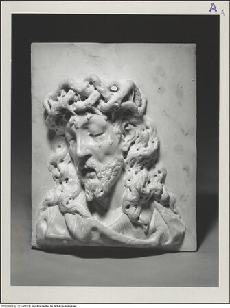 Vorderseite von bh565291_recto