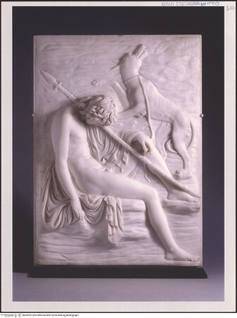 Vorderseite von bh565292_recto