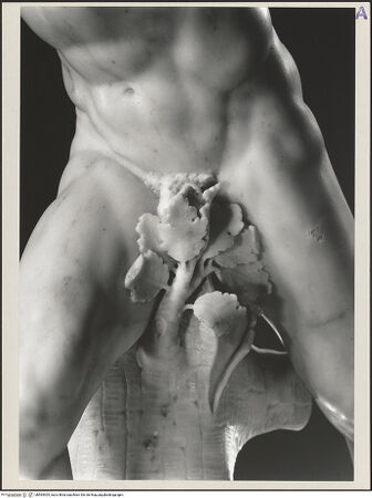 Vorderseite von bh565305_recto