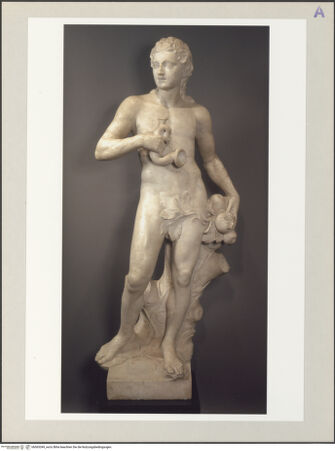 Vorderseite von bh565349_recto