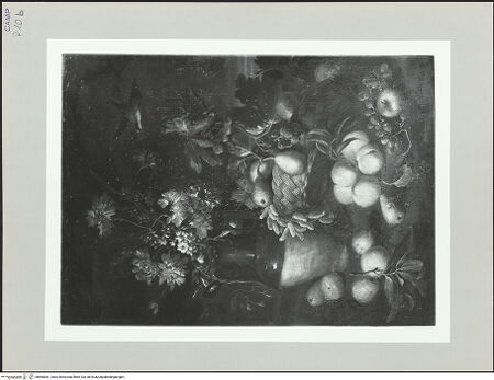 Vorderseite von Pedicini, Luciano [https://www.deutsche-digitale-bibliothek.de/content/lizenzen/rv-ez/] Stilleben mit Blumen, Früchten und einem Vogel - Gesamtansicht, bh565381_recto. Foto: Pedicini, Luciano.