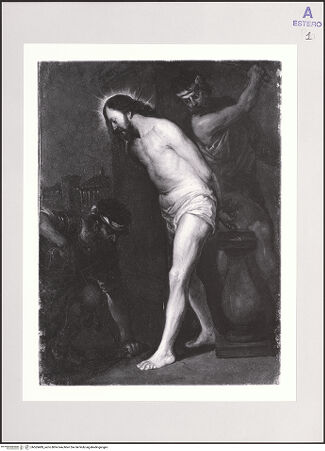 Vorderseite von bh565489_recto