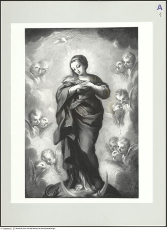 Vorderseite von bh565556_recto