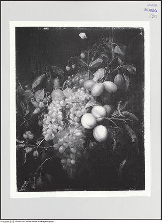 Vorderseite von bh565568_recto