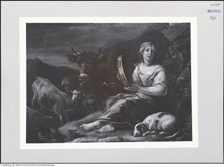 Vorderseite von bh565572_recto