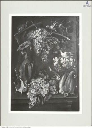 Vorderseite von bh565604_recto