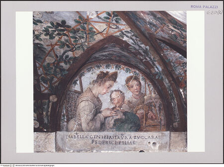 Vorderseite von bh565636_recto