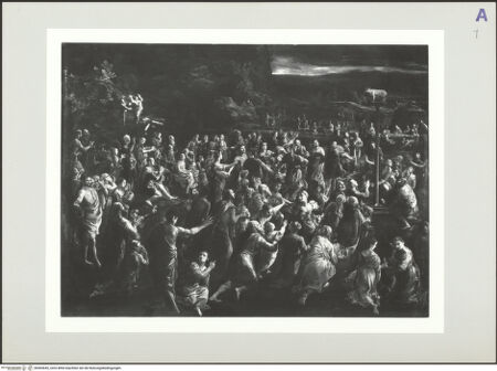 Vorderseite von bh565645_recto