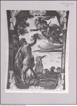 Vorderseite von bh565654_recto