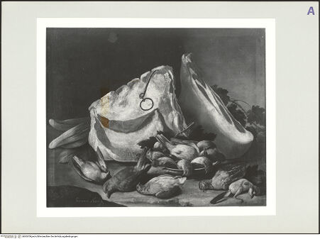 Vorderseite von bh565704_recto