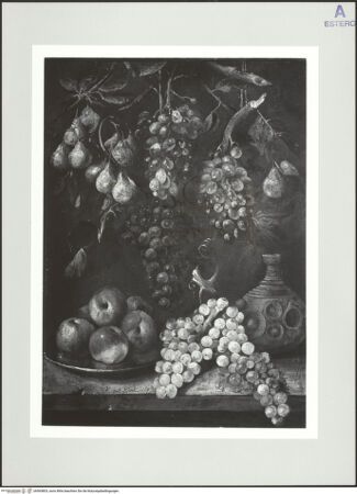 Vorderseite von bh565803_recto