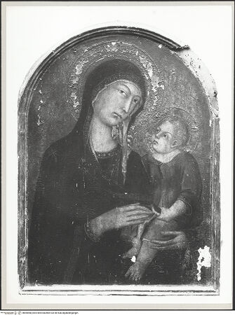 Vorderseite von bh565988_recto