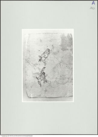 Vorderseite von Rom, Gabinetto Nazionale delle Stampe [https://www.deutsche-digitale-bibliothek.de/content/lizenzen/rv-ez/] Studie für Putti in Untersicht - , bh566158_recto. Foto.